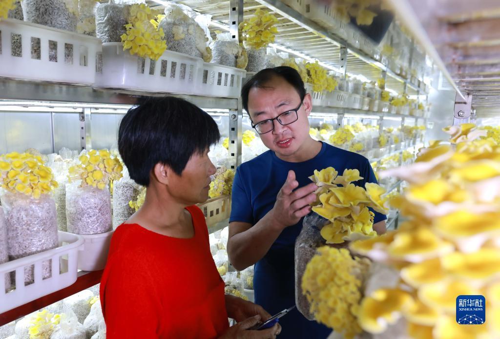 网上网投正规真人在线实体靠谱平台